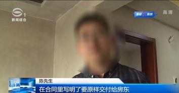 重庆陈先生爆料新闻视频,揭秘某事件背后真相